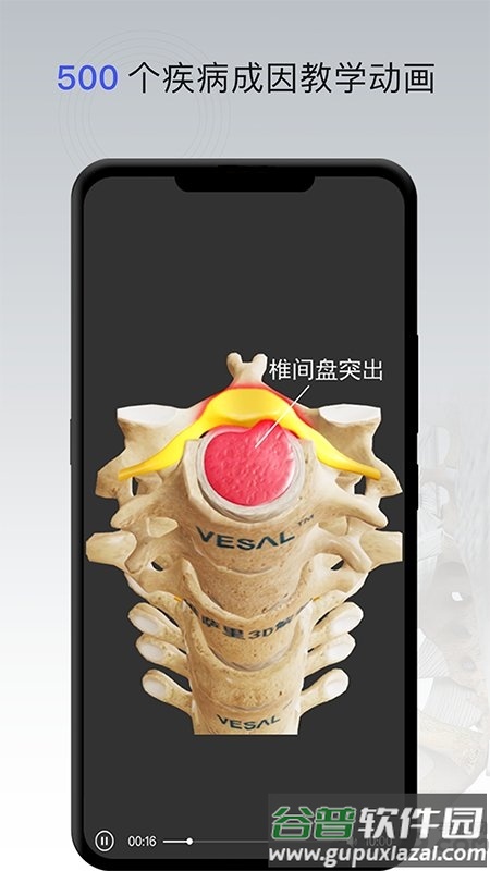 骨科专家在线咨询免费app截图4