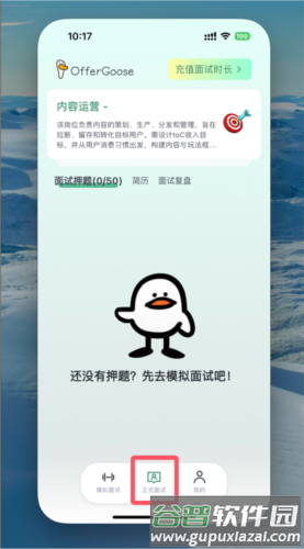 多面鹅OfferGoose4