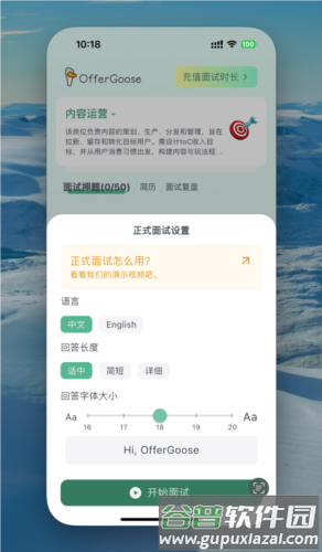 多面鹅OfferGoose5