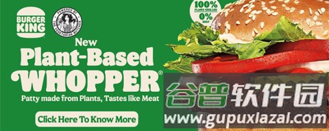 汉堡王app怎么打不开