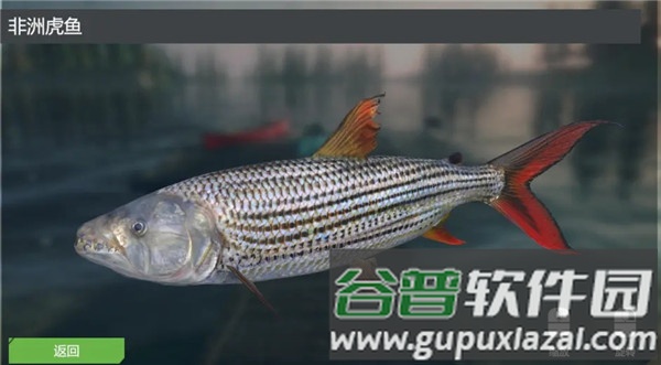 终极钓鱼模拟器游戏截图3