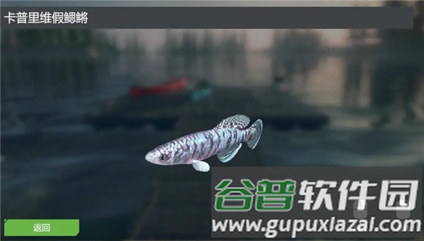 终极钓鱼模拟器游戏截图4