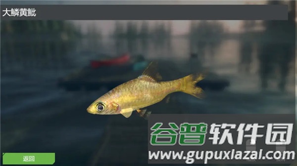 终极钓鱼模拟器游戏截图9
