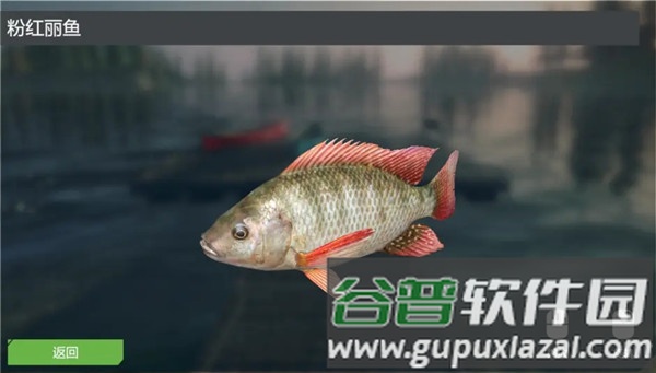 终极钓鱼模拟器游戏截图10
