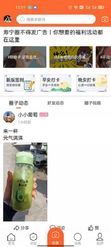 大寿宁信息网截图1