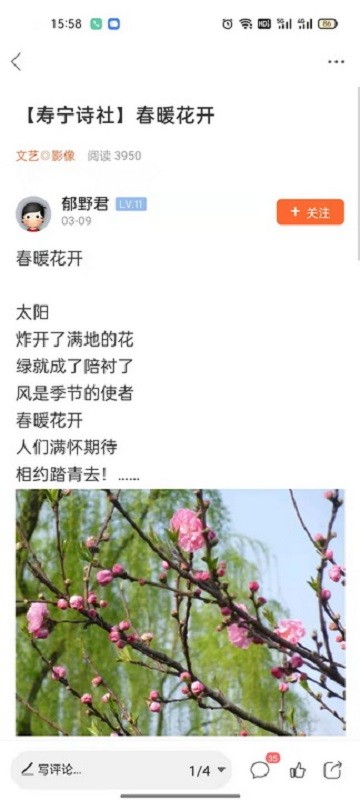 大寿宁信息网截图2