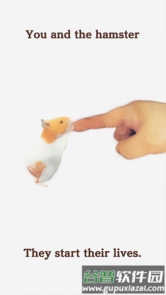 我的仓鼠中文版截图1