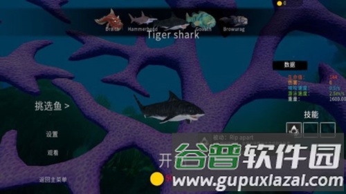 海底大猎杀抖音直播版鱼种介绍6