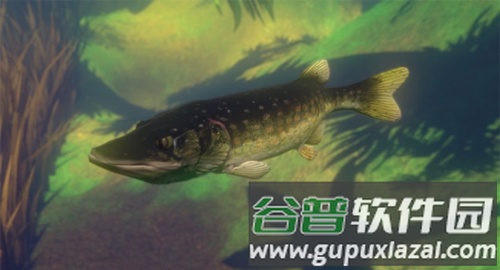 海底大猎杀抖音直播版游戏攻略2