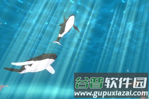 海底大猎杀小米版鱼类介绍3