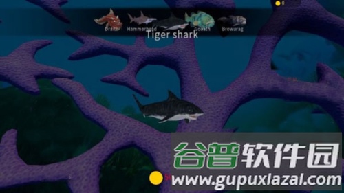 海底大猎杀地图介绍5