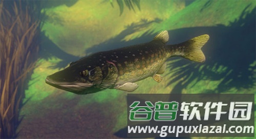 海底大猎杀百度版4