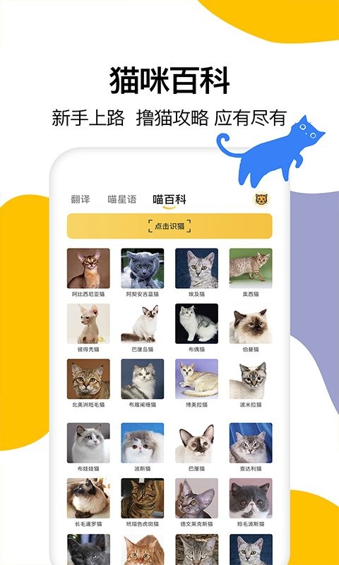 猫语翻译免费版截图1