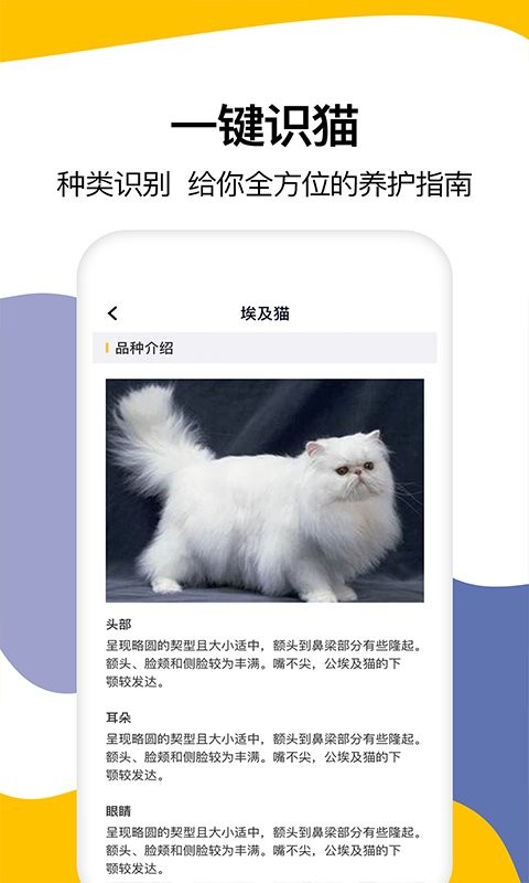 猫语翻译免费版截图2