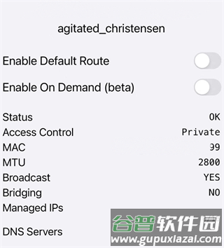 Zerotier One app
