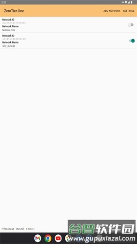Zerotier One app截图5