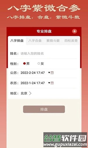 大师八字软件截图2