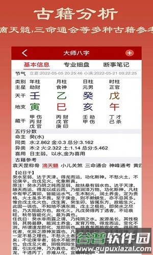 大师八字软件截图4