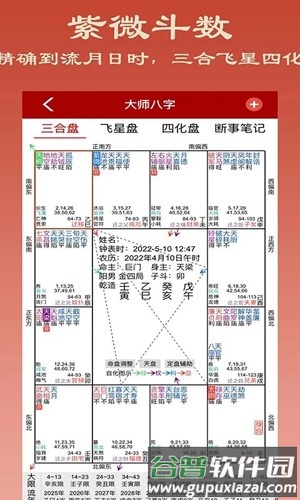 大师八字软件截图5