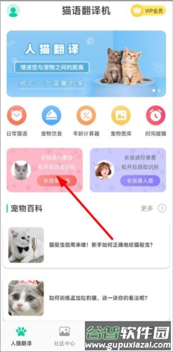 猫语翻译机免费版2