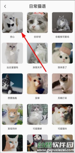 猫语翻译机免费版3