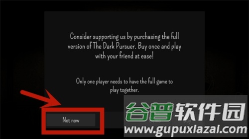The Dark Pursuer中文联机版7