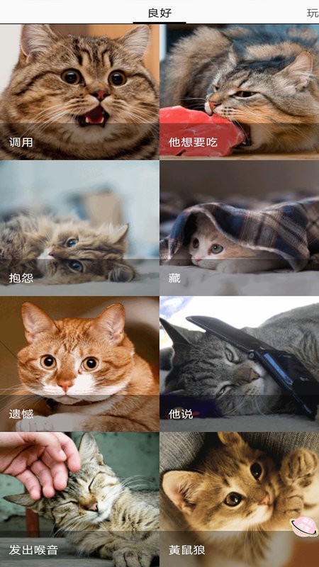 猫猫狗狗翻译器软件