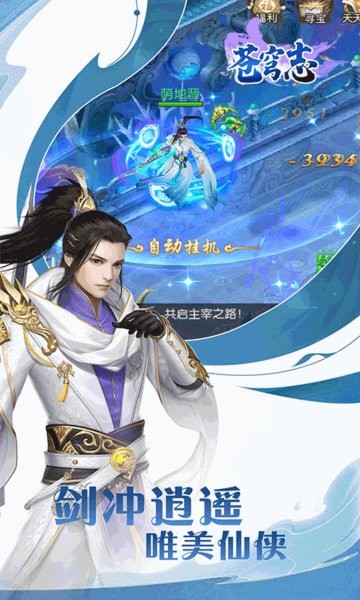 苍穹志手游正版截图2