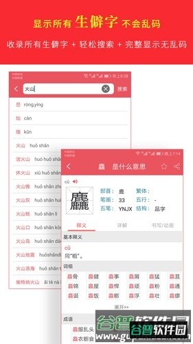 汉语字典专业版app截图3