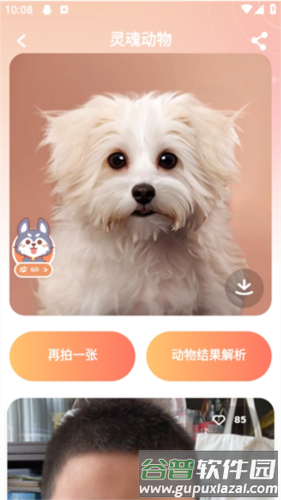灵魂宠物app4