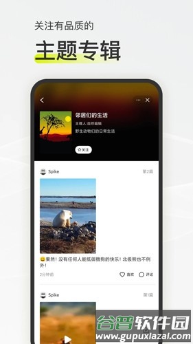 迷岛app截图2