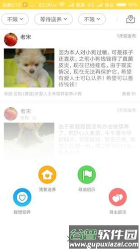 宠物领养APP截图1