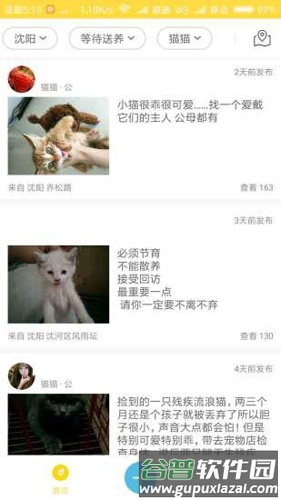 宠物领养APP截图3