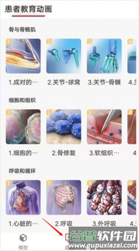 3dbody解剖免费版6