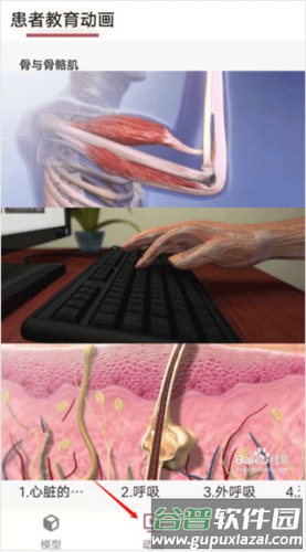 3dbody解剖免费版7