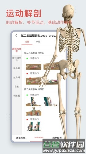 3dbody解剖免费版截图1