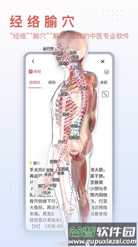 3dbody解剖免费版截图2