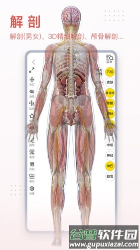3dbody解剖免费版截图3
