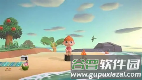 动物之森口袋露营游戏截图3