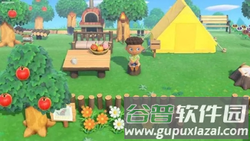 动物之森口袋露营游戏截图4