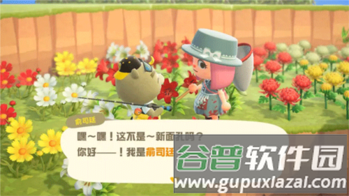 动物之森口袋露营游戏截图10