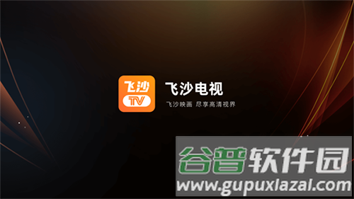 飞沙电视最新版本截图1