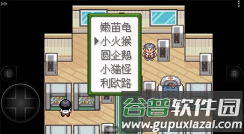 口袋妖怪釉色汉化版游戏截图12