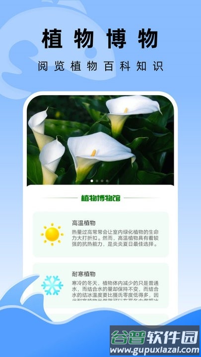飞鱼文件管家app手机版截图1
