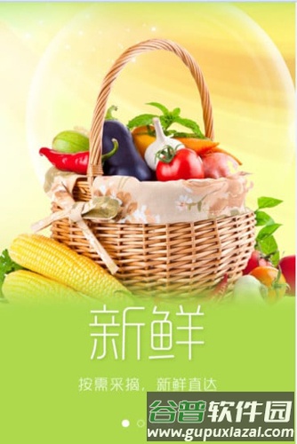天天买菜app截图1