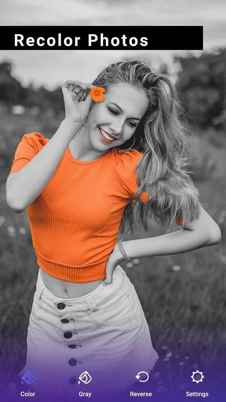 Picskit最新破解版截图2