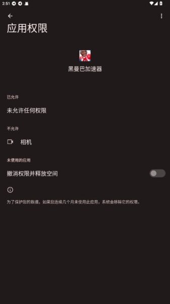黑曼巴加速器最新版本截图3