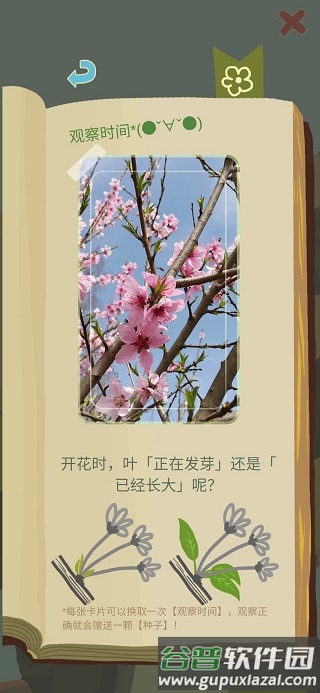 老农种树游戏截图4