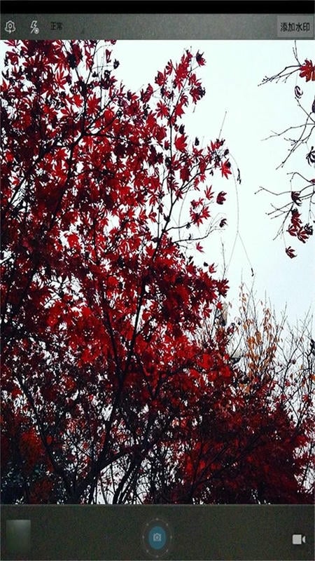 魔力玩图照相机截图2