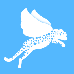 飞小豹约车appv1.21.0